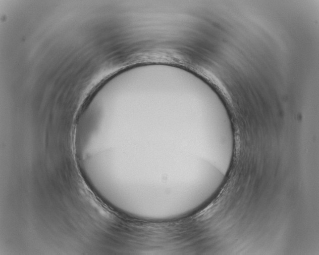 X0000088471035200706121524