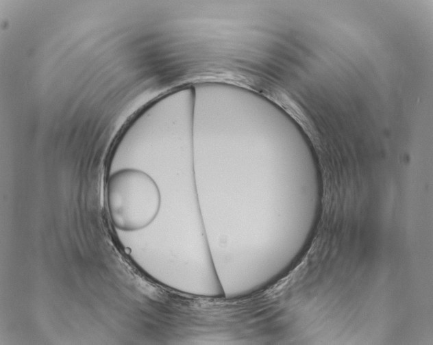 X0000088471036200706121524