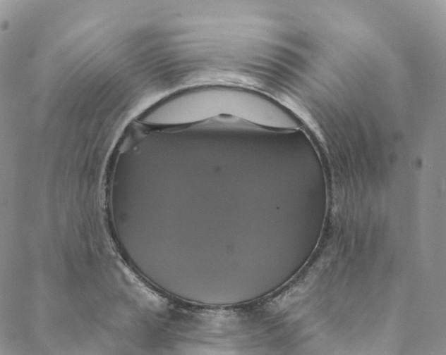 X0000088471037200706121524