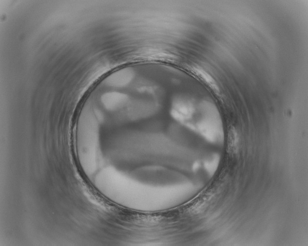 X0000088471039200706121524