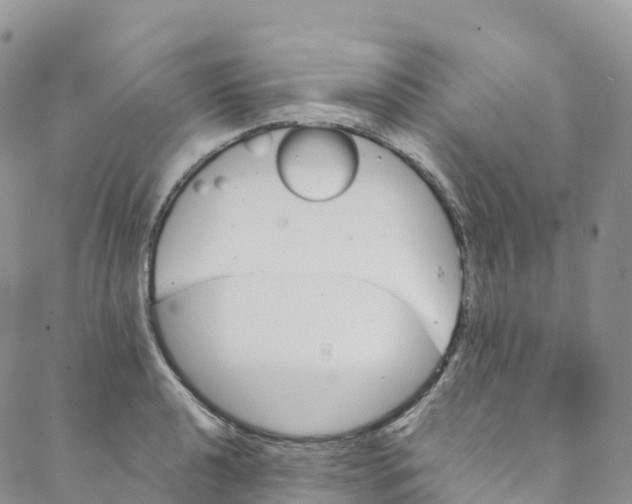 X0000088471040200706121524