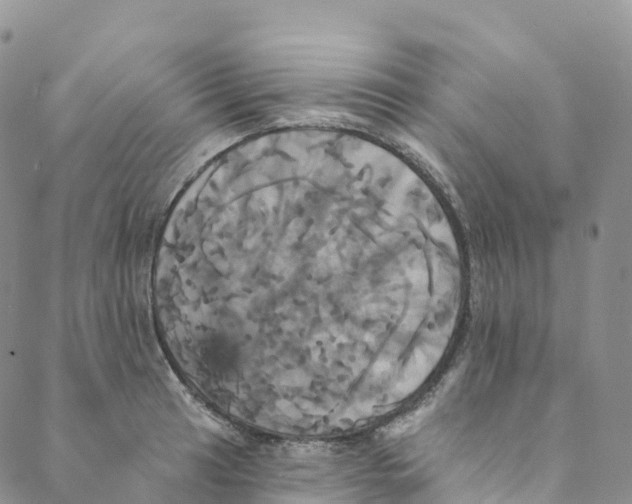 X0000088471041200706121524