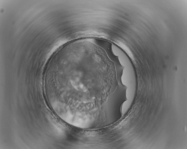 X0000088471043200706121524