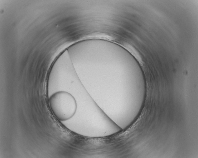 X0000088471044200706121524