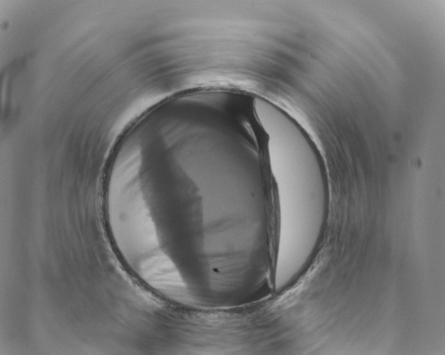 X0000088471045200706121524