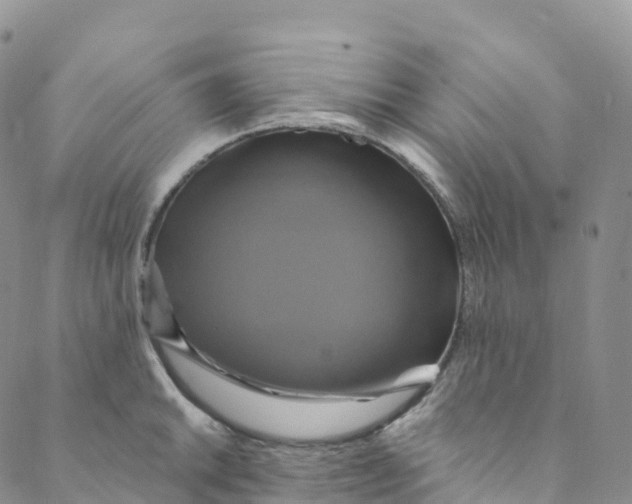 X0000088471046200706121524