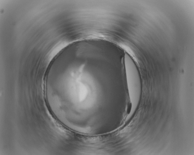 X0000088471047200706121524