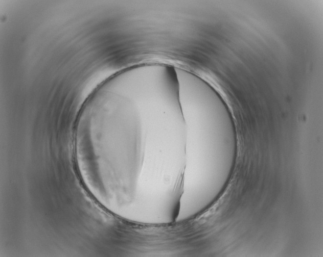 X0000088471048200706121524