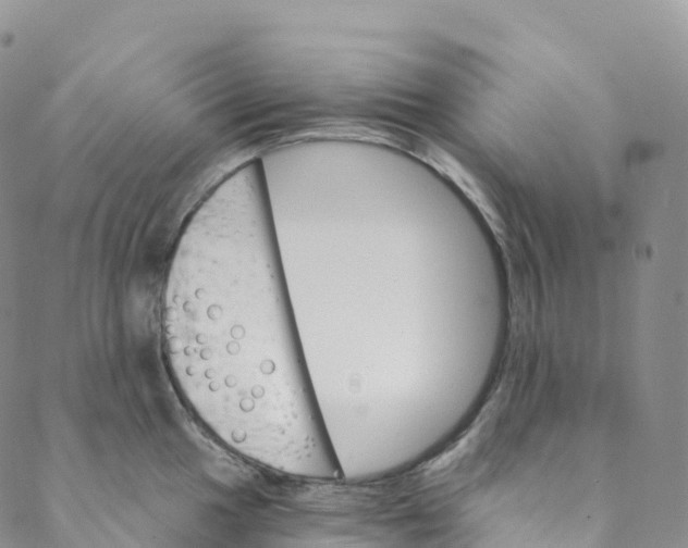 X0000088471049200706121524