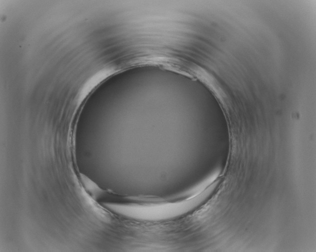 X0000088471050200706121524