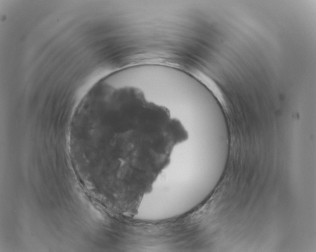 X0000088471051200706121524