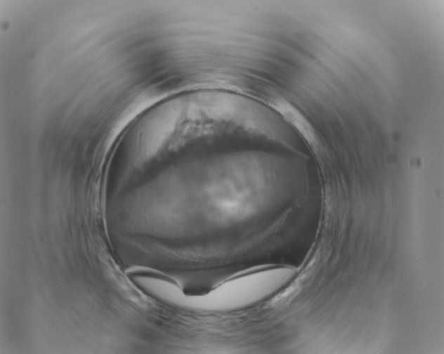 X0000088471052200706121524