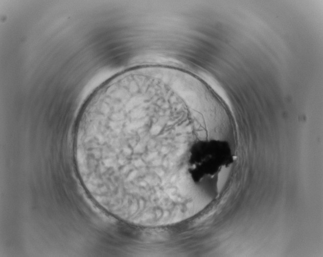 X0000088471053200706121524