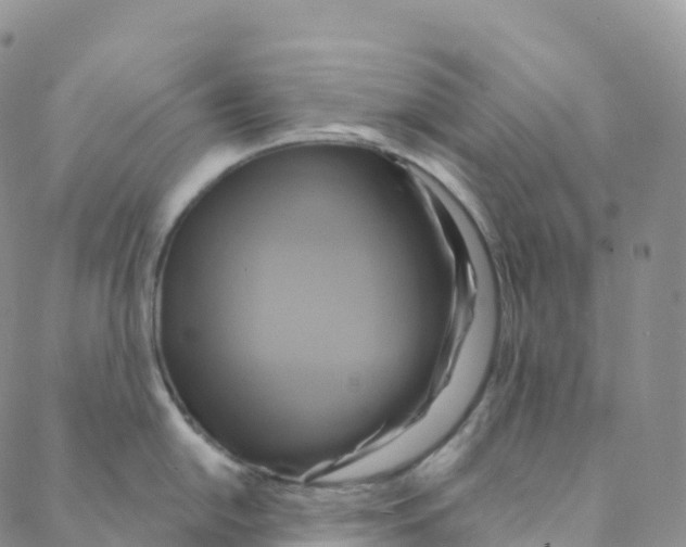 X0000088471054200706121524