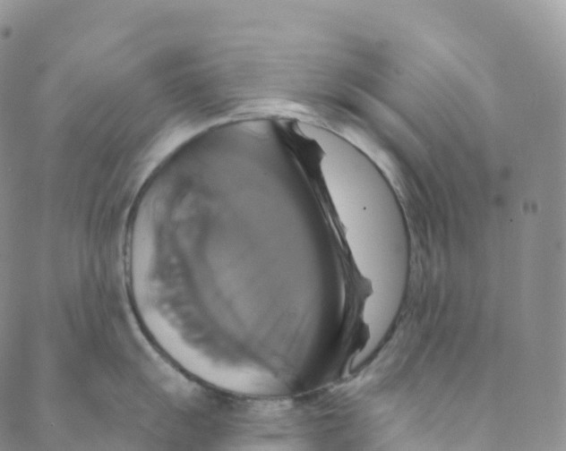 X0000088471055200706121524