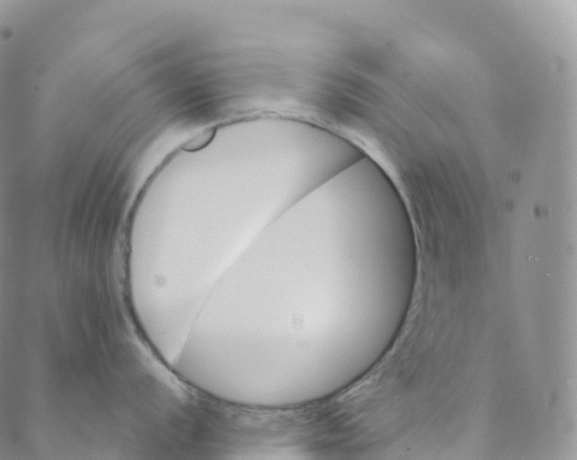 X0000088471056200706121524