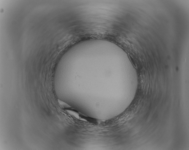 X0000088471057200706121524