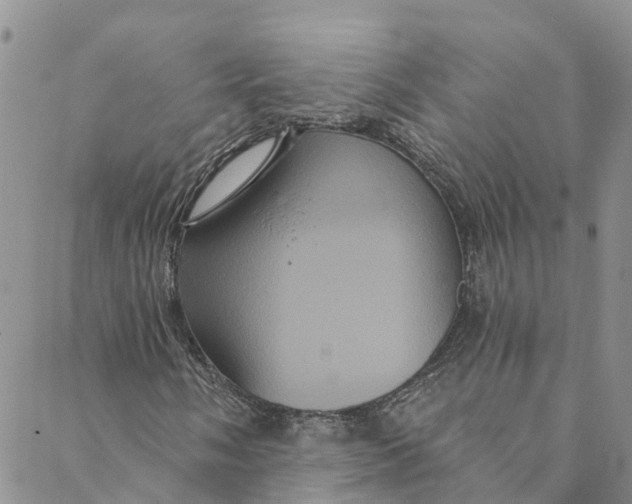 X0000088471058200706121524