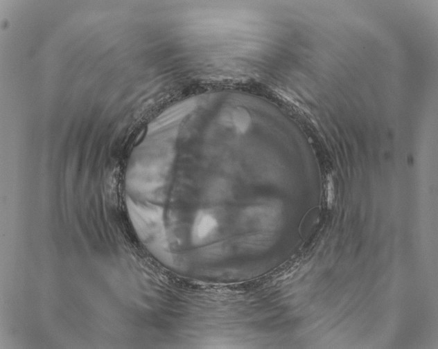 X0000088471059200706121524