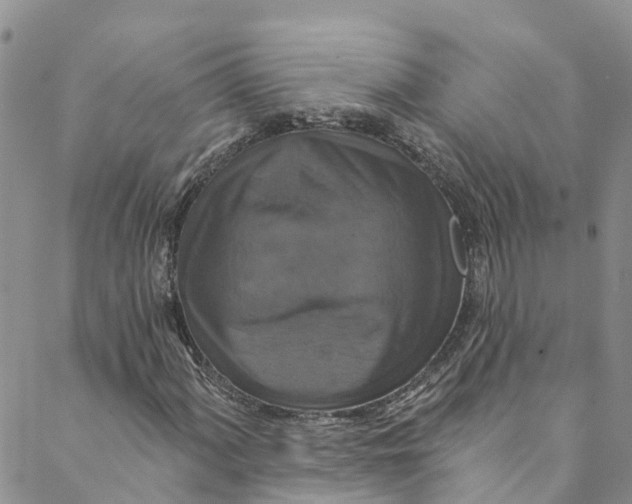 X0000088471060200706121524