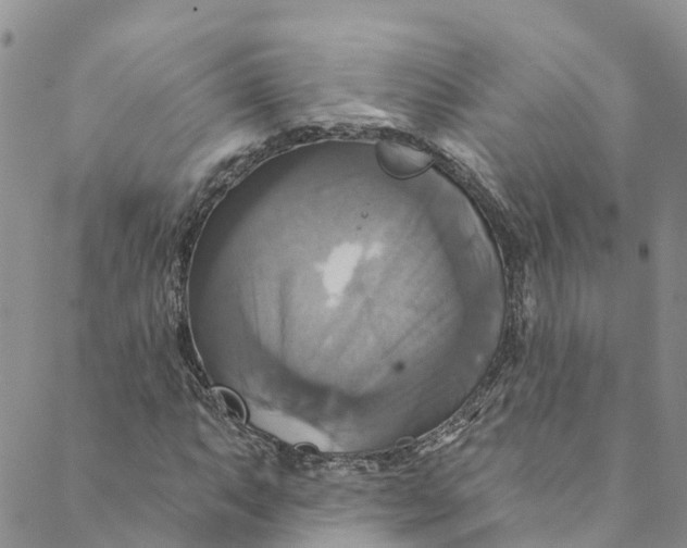 X0000088471063200706121524