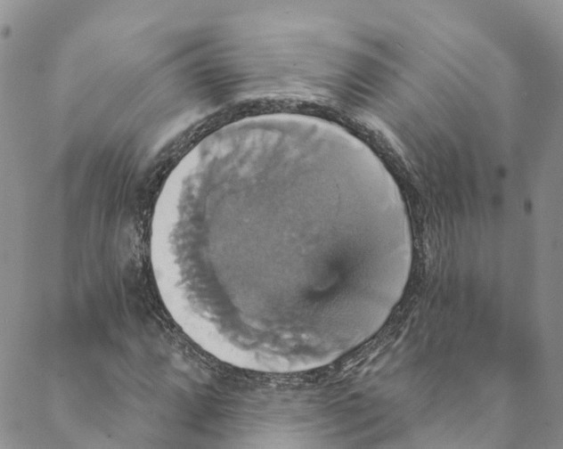 X0000088471064200706121524