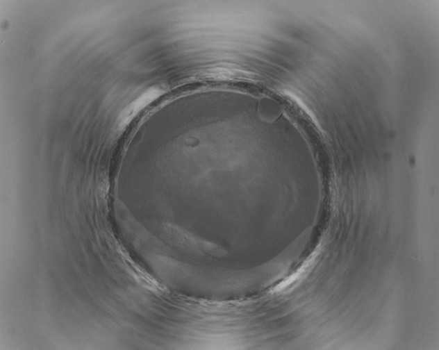 X0000088471065200706121524