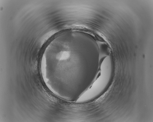 X0000088471066200706121523