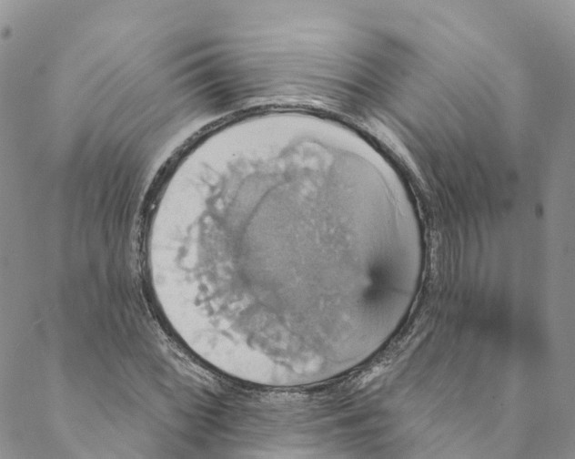 X0000088471068200706121523