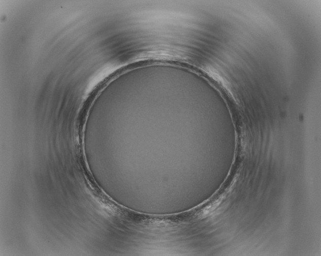 X0000088471070200706121523