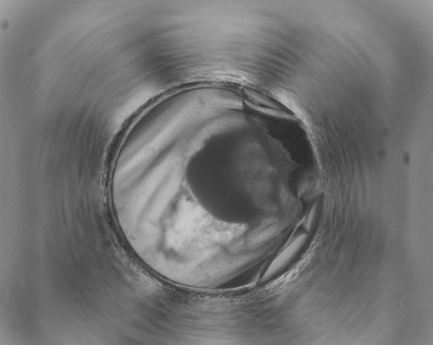 X0000088471071200706121523