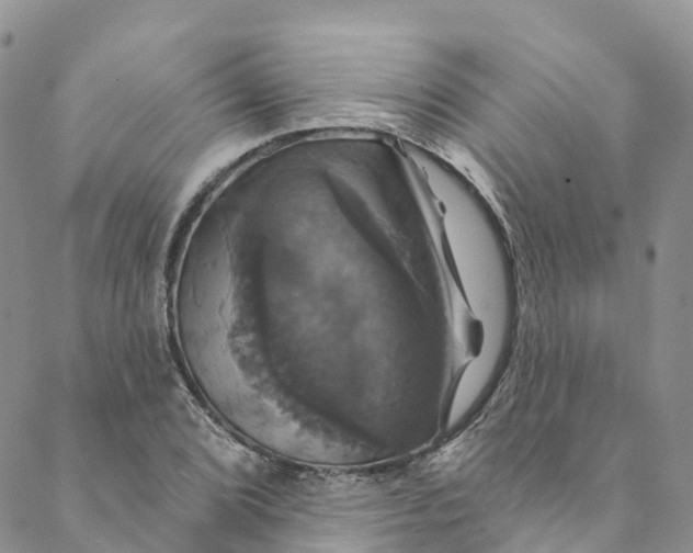 X0000088471072200706121523