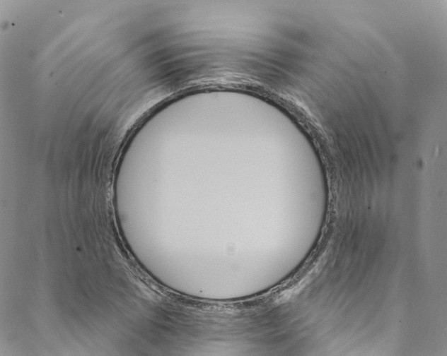 X0000088471073200706121523