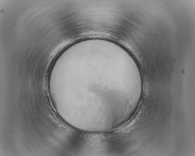 X0000088471074200706121523