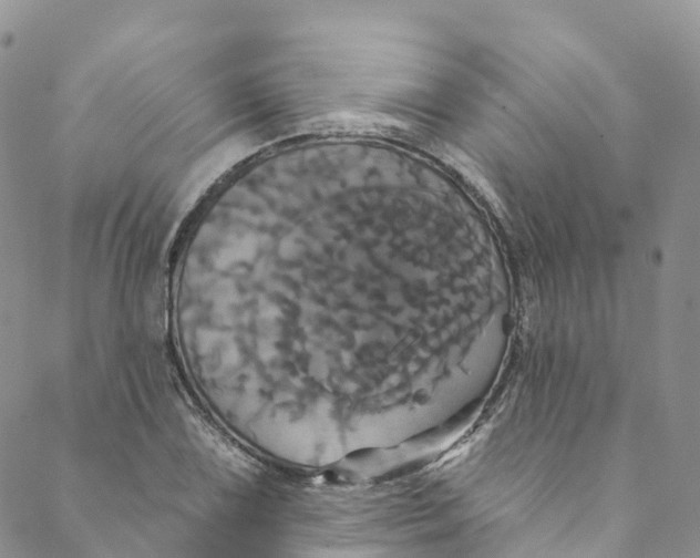 X0000088471075200706121523