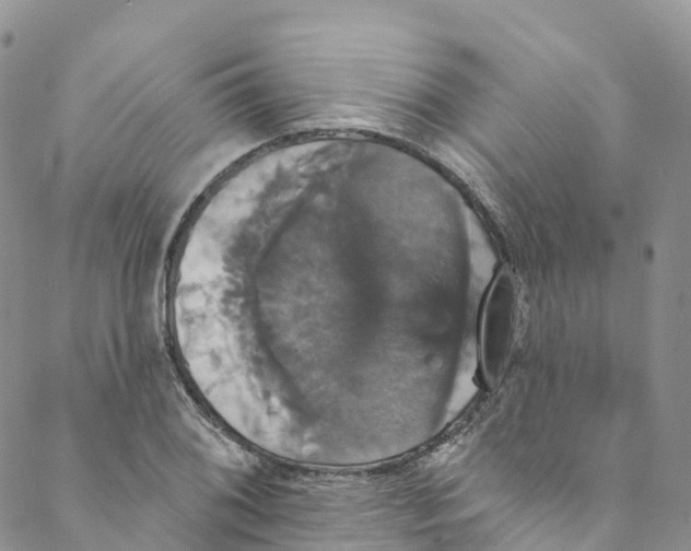 X0000088471076200706121523