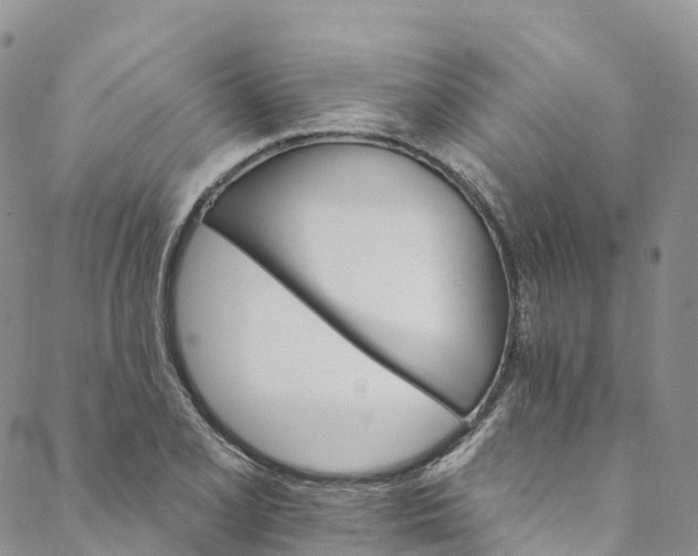 X0000088471077200706121523