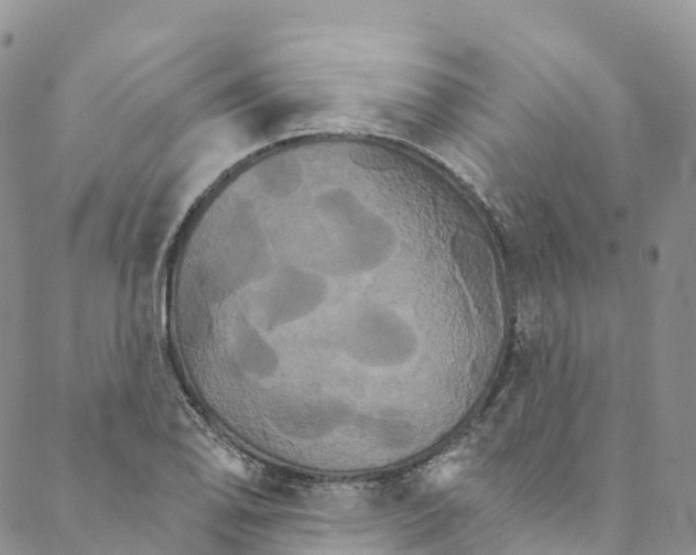 X0000088471078200706121523