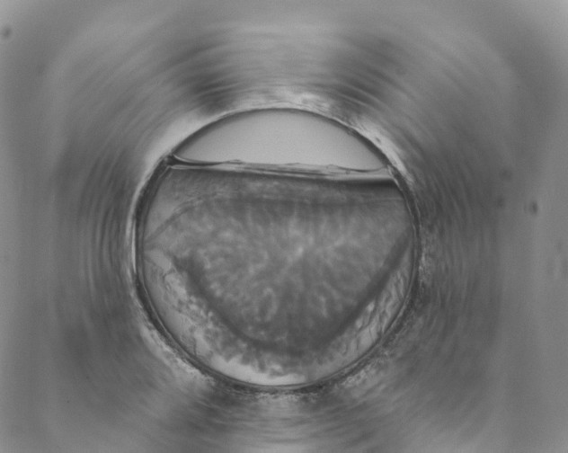 X0000088471080200706121523