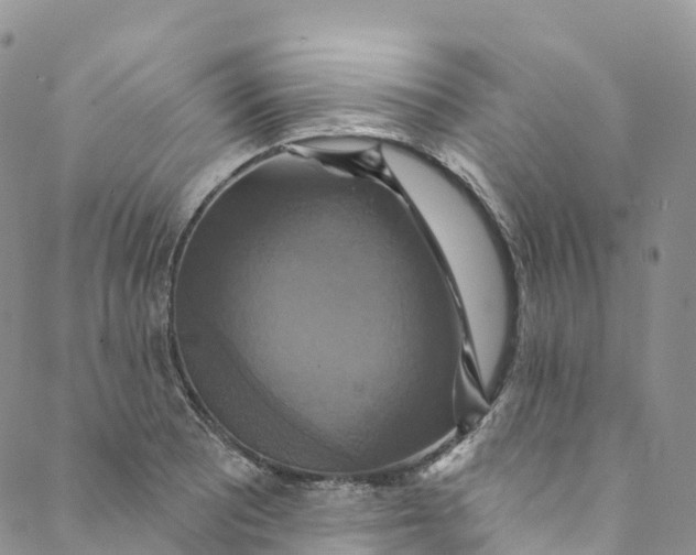 X0000088471081200706121523