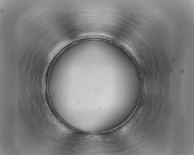 X0000088471082200706121523