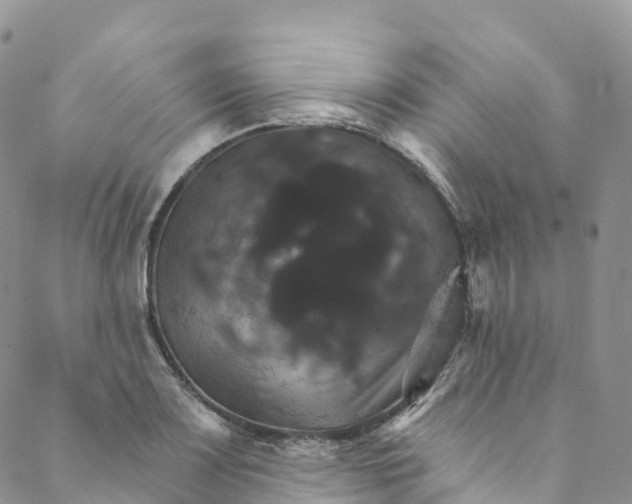 X0000088471083200706121523