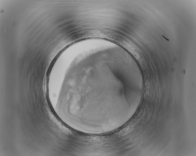 X0000088471084200706121523