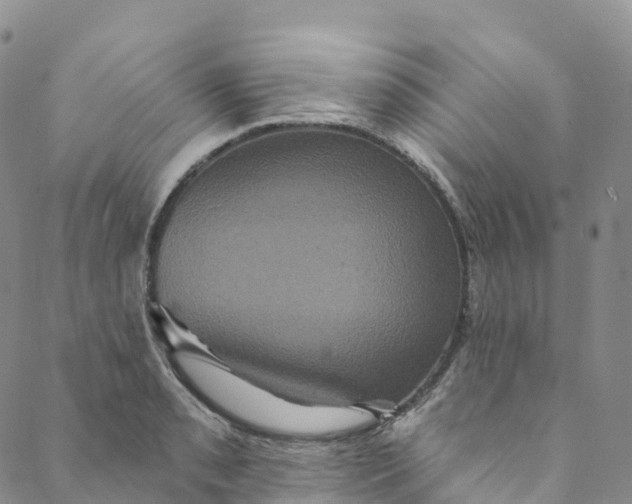 X0000088471085200706121523