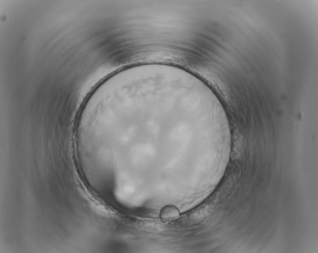 X0000088471086200706121523