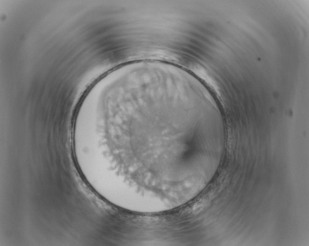 X0000088471088200706121523