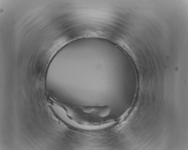 X0000088471089200706121523