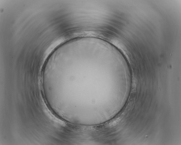 X0000088471090200706121523