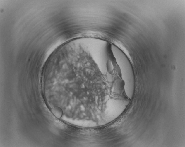 X0000088471091200706121523