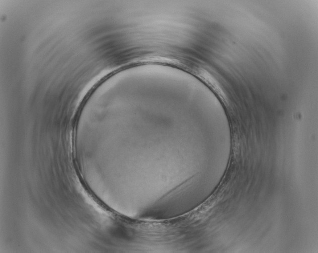 X0000088471092200706121523